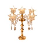 محصول شماره ۲۴